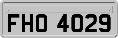FHO4029