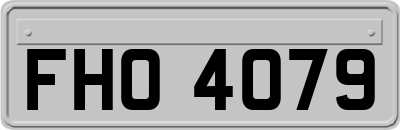 FHO4079