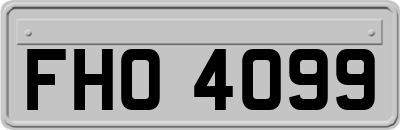 FHO4099