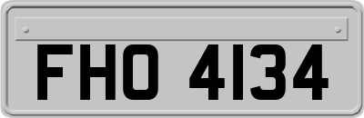 FHO4134