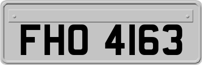 FHO4163