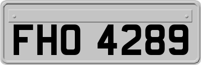 FHO4289