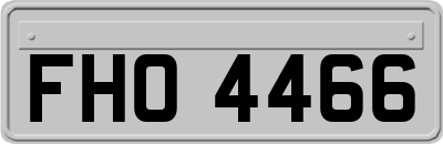 FHO4466