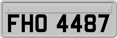 FHO4487
