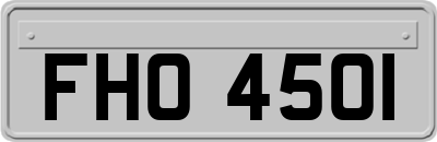 FHO4501