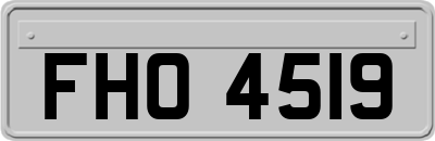 FHO4519