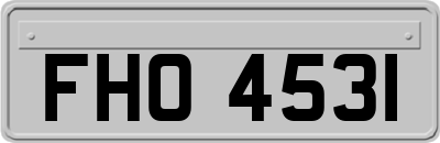 FHO4531