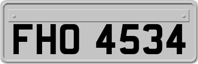 FHO4534