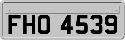 FHO4539