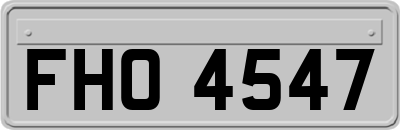 FHO4547
