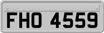 FHO4559