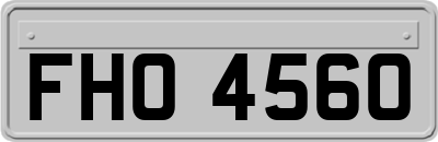 FHO4560