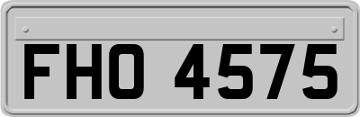 FHO4575