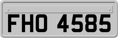 FHO4585