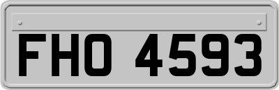 FHO4593