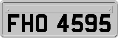 FHO4595