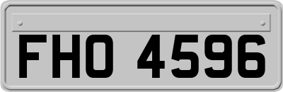 FHO4596
