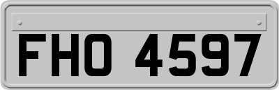 FHO4597