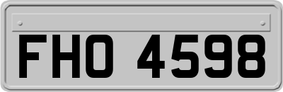 FHO4598