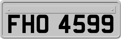 FHO4599