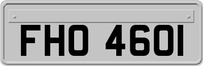 FHO4601