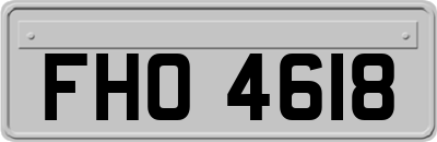 FHO4618