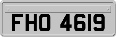 FHO4619