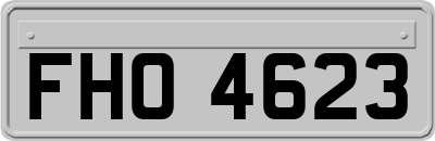 FHO4623