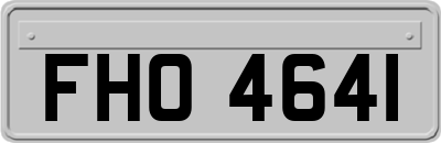 FHO4641