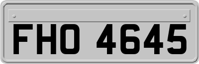 FHO4645