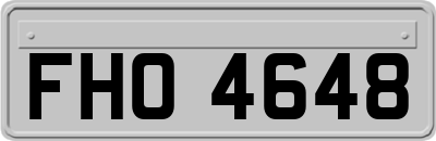 FHO4648