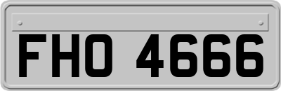 FHO4666