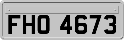 FHO4673