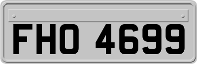 FHO4699