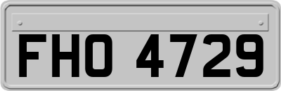 FHO4729