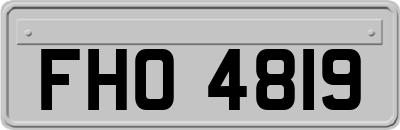 FHO4819