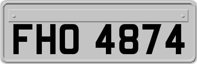 FHO4874