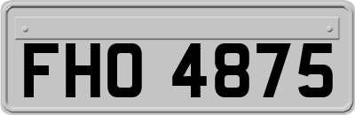 FHO4875