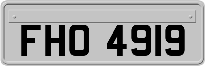FHO4919