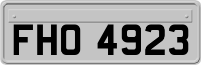 FHO4923