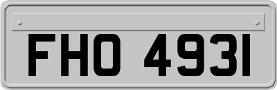 FHO4931
