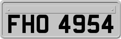 FHO4954
