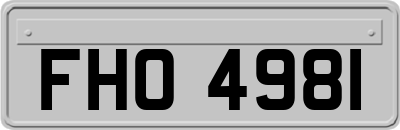 FHO4981