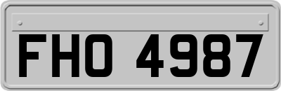 FHO4987