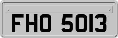FHO5013