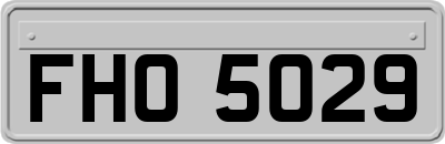 FHO5029