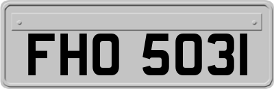 FHO5031