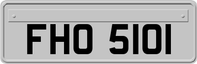 FHO5101