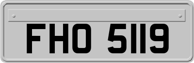 FHO5119
