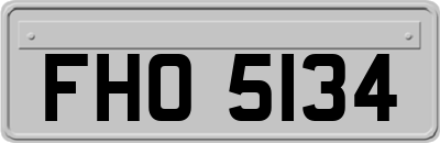 FHO5134